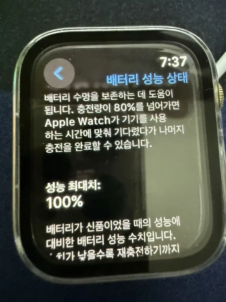 애플워치 8 45mm 셀룰러 스테인리스 골드